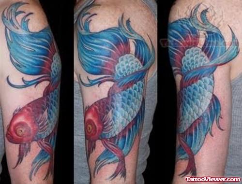 Koi Fish Color Ink Tattoo