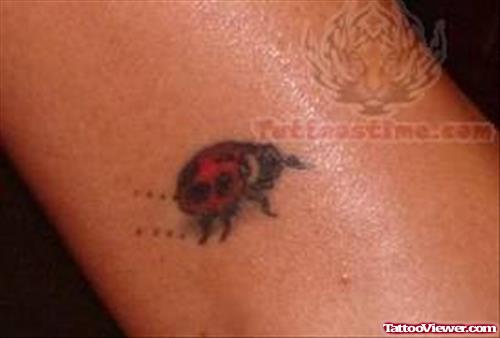 Ladybug Tattoo Image