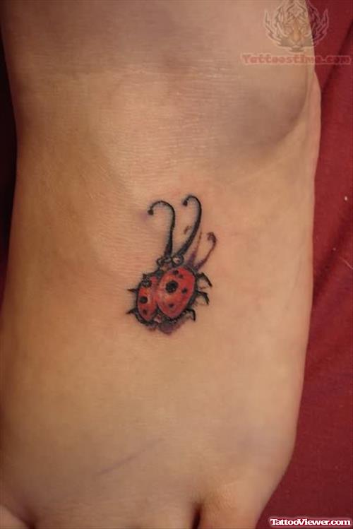 Amazing Ladybug tattoo on Foot