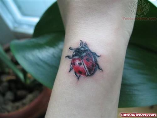 Small Ladybug Tattoo On Arm