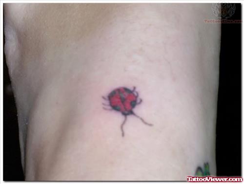 Ladybug Tattoo Pictures