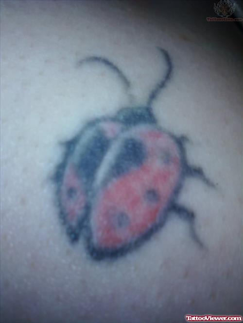 My Ladybug Tattoo