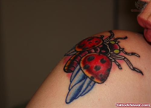 Ladybug Tattoo On Upper Shoulder