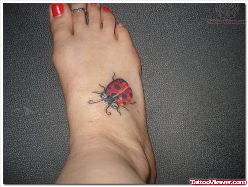Ladybug Tattoo For Girls