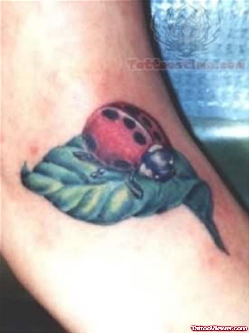 Green Leaf And Ladybug Tattoo