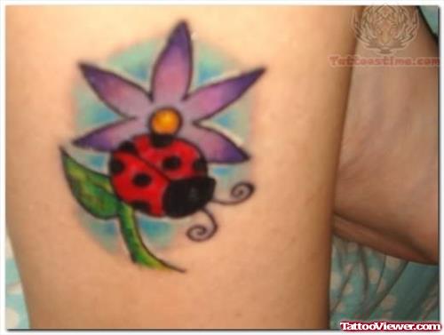 Beautiful Ladybug Tattoo For Girls