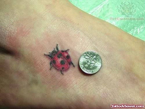 Clean Ladybug Tattoo