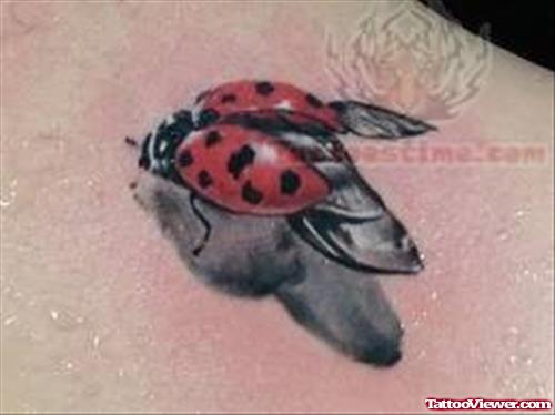 Ladybug Wings Tattoo