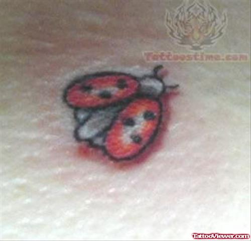 Flying Ladybug Tattoo