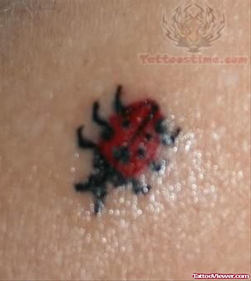 Tiny Ladybug Tattoo