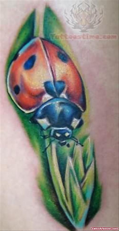 Ladybug On Green Leaf Tattoo