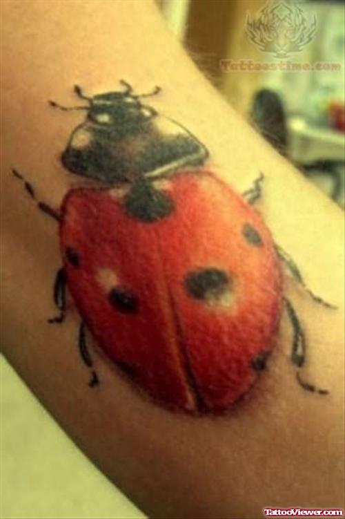 Large Ladybug Tattoo