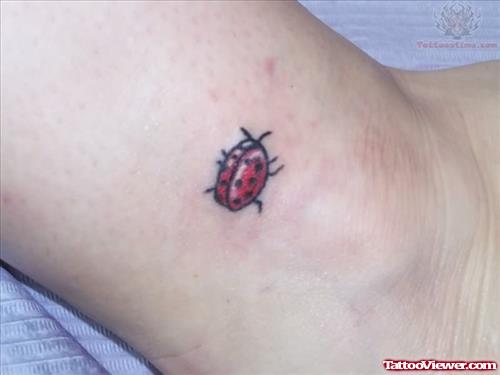 Small Ladybug Tattoo On Ankle