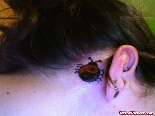 Ying Yang Ladybug Tattoo