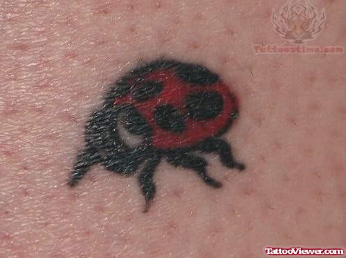 Small Ladybug Tattoo