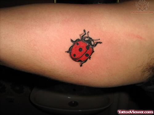 Ladybug Tattoo On Elbow