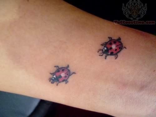 Tumblr Ladybug Tattoo