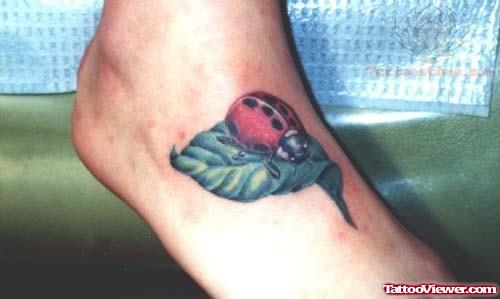 Red Gargle on A Green Leaf Tattoo