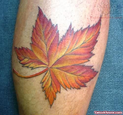 Attractive Leaf Tattoo