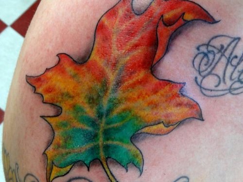Attractive Colored Autumn Leaf Tattoo
