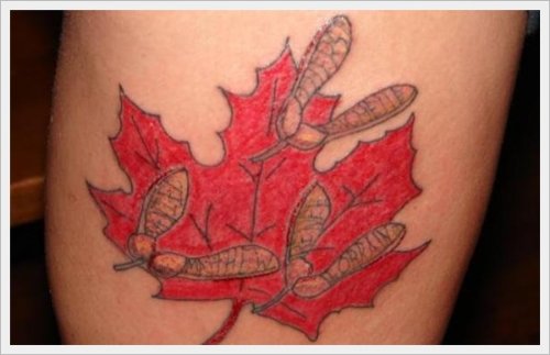 Red Ink Maple Leaf Tattoo