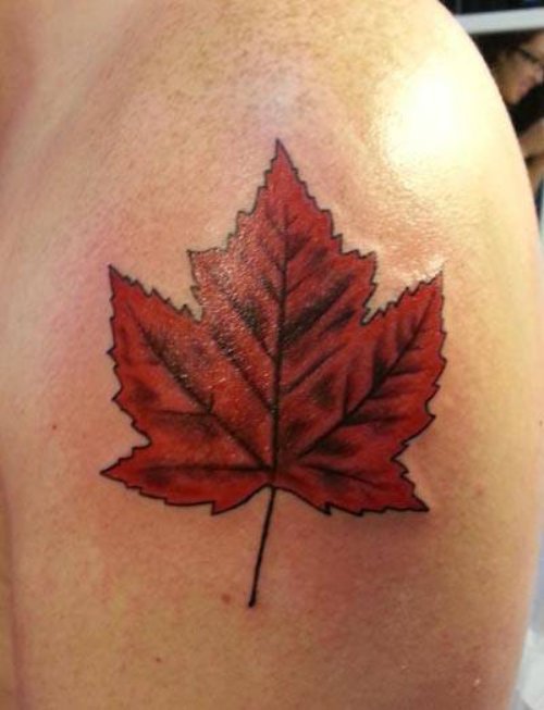 Red Maple Leaf Tattoo On Shoulder