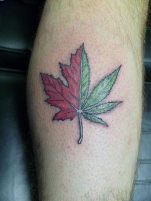 Colored Leaf Tattoo On Leg