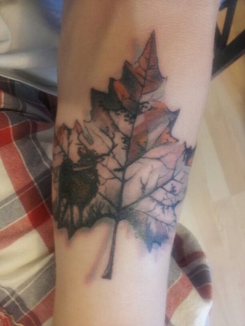 Attractive Grey Ink Maple Leaf Tattoo
