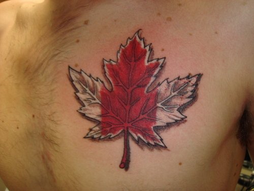 Maple Leaf Tattoo On Man Chest