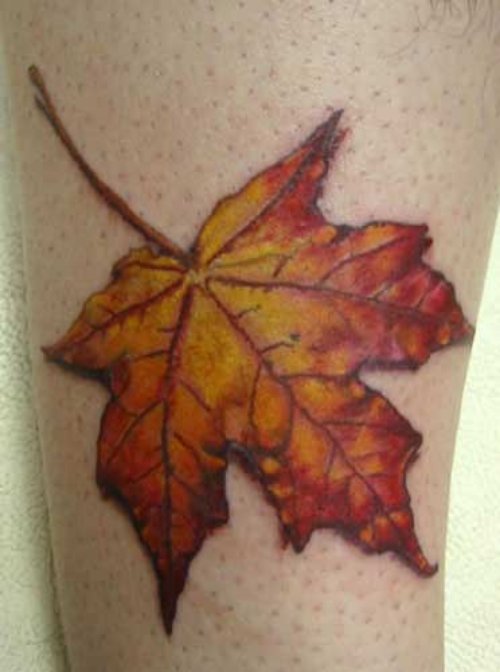 Colored Maple Fall Leaf Tattoo