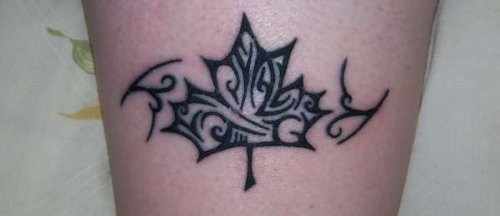 Tribal Maple Leaf Tattoo On Bicep