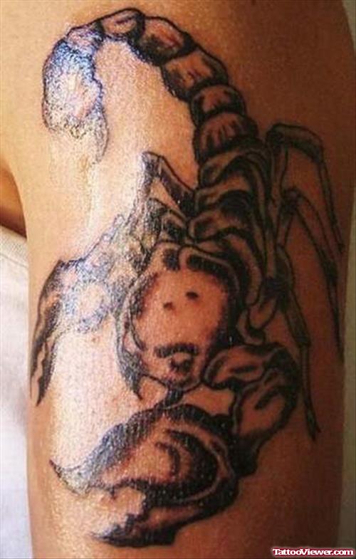 Grey Ink Scorpio Leg Tattoo