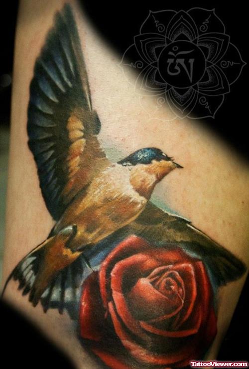 Frenderic Bain Red Rose And  Flying Bird Leg Tattoo