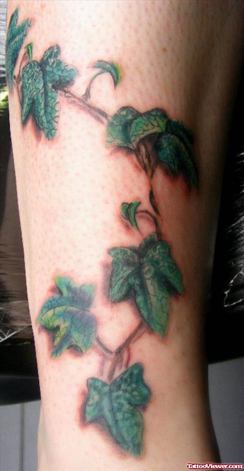 Green Maple Leafs Leg Tattoo