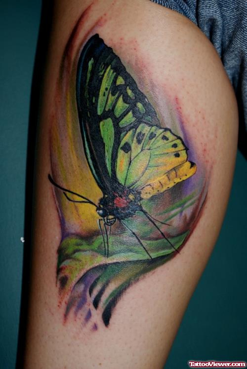 Colored Butterfly Back Leg Tattoo