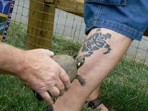 Turtle Tattoo For Leg