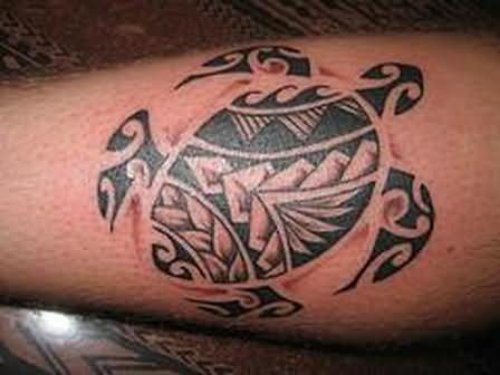 Tribal Turtle Tattoo On Leg