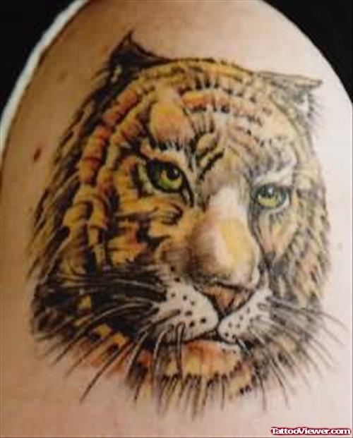 Leopard Tattoo Pictures