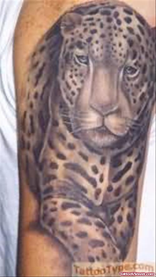 Leopard Sitting Tattoo On Biceps
