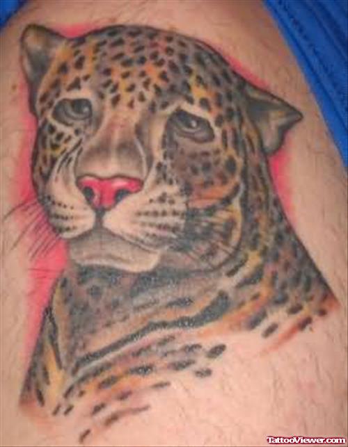 Cute Leopard Tattoo On Shoulder