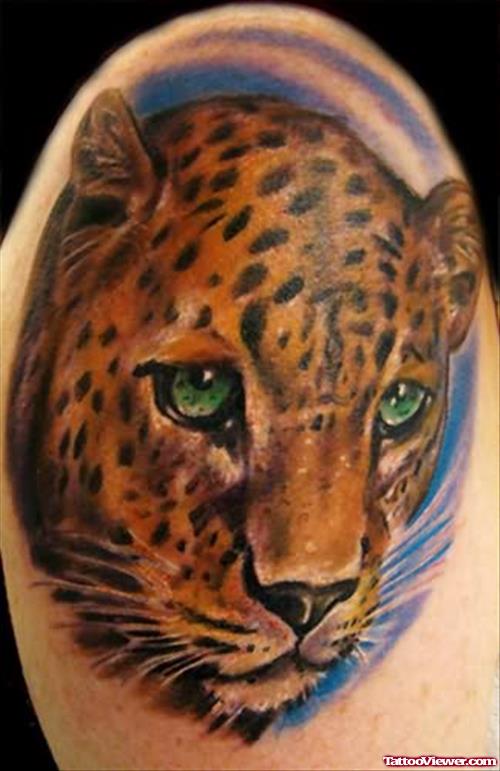 Aniaml Tattoos - Leopard Tattoo