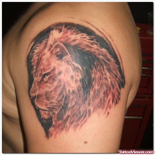 Left Shoulder Lion Tattoo