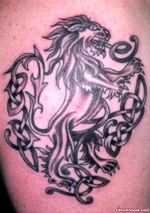 Celtic And Grey Ink Lion Tattoo