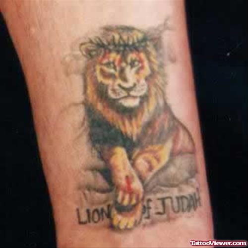 Sitting Lion Tattoo