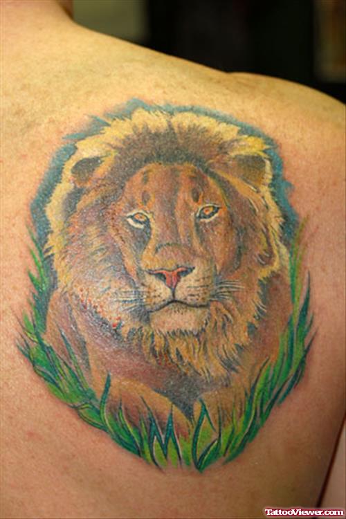 New Right Back SHoulder Lion Head Tattoo