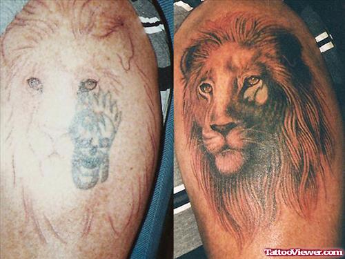 Grey Ink Lion Tattoo On Shoulder