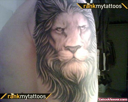 Grey Ink Lion Tattoo On Left Sleeve