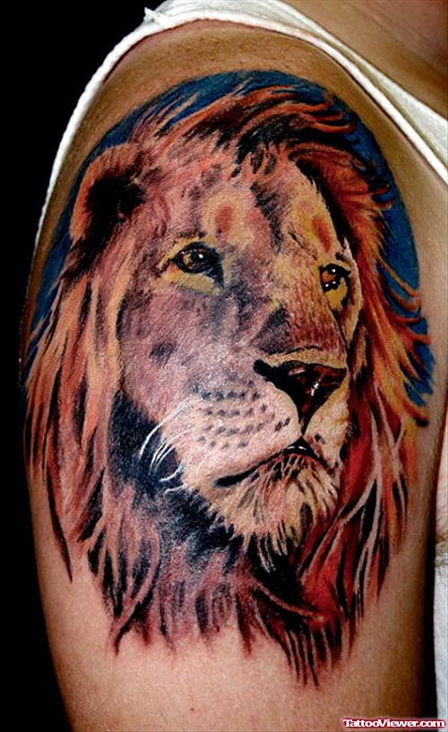 Awesome Colored Lion Head Tattoo Right Shoulder