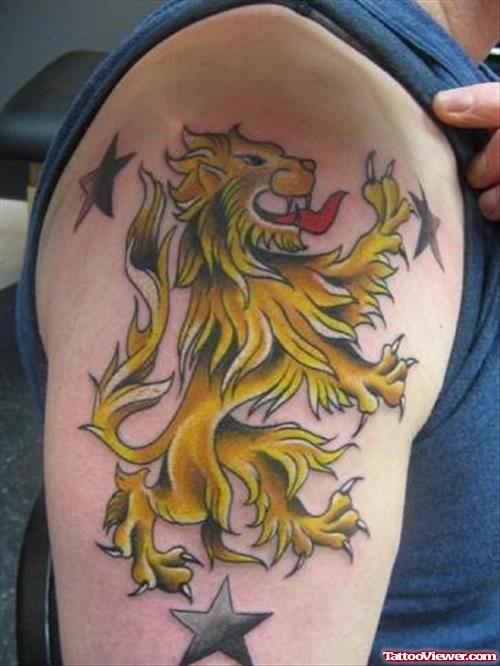 Stars And Lion Tattoo On Right Half Sleeve