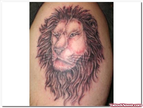 Awesome Grey Ink Lion Tattoo On Left Shoulder